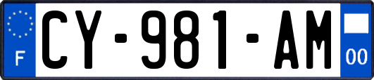 CY-981-AM