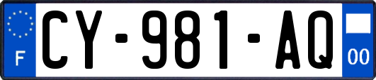 CY-981-AQ