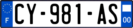 CY-981-AS