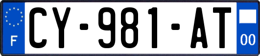 CY-981-AT