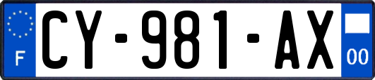CY-981-AX