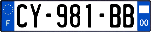 CY-981-BB