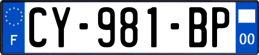 CY-981-BP