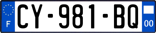 CY-981-BQ