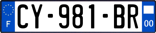 CY-981-BR