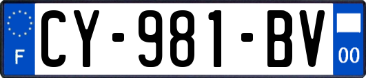 CY-981-BV