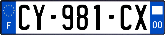 CY-981-CX