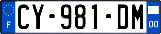 CY-981-DM