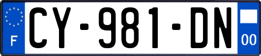 CY-981-DN