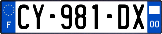 CY-981-DX
