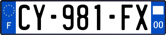 CY-981-FX