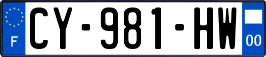 CY-981-HW