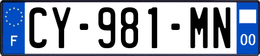 CY-981-MN