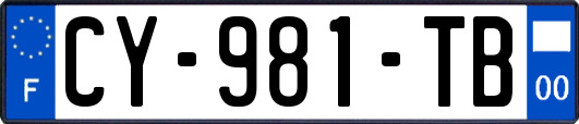 CY-981-TB