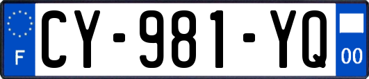 CY-981-YQ