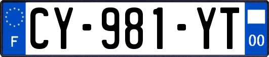 CY-981-YT