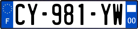 CY-981-YW