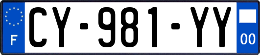 CY-981-YY