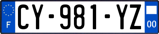 CY-981-YZ