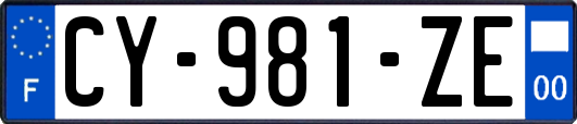 CY-981-ZE