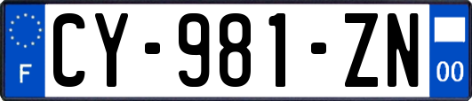 CY-981-ZN