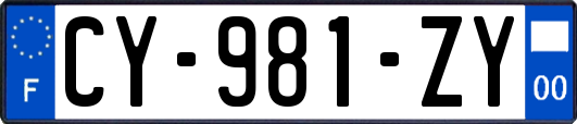CY-981-ZY