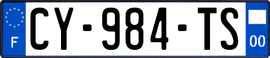 CY-984-TS