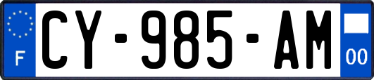 CY-985-AM