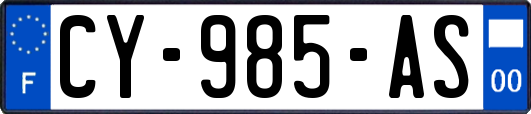 CY-985-AS