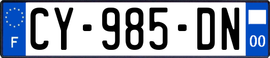 CY-985-DN