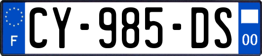 CY-985-DS