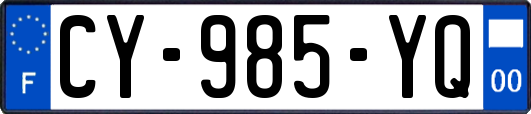 CY-985-YQ