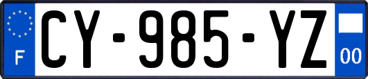 CY-985-YZ