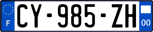 CY-985-ZH