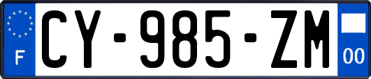 CY-985-ZM