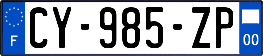 CY-985-ZP