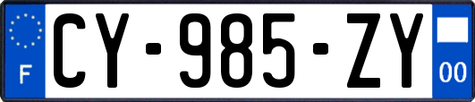 CY-985-ZY