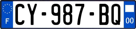 CY-987-BQ