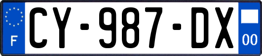 CY-987-DX