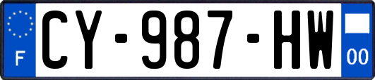 CY-987-HW