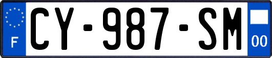 CY-987-SM