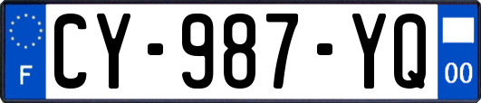 CY-987-YQ
