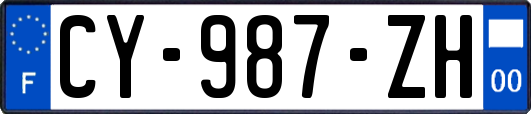 CY-987-ZH