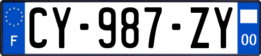 CY-987-ZY