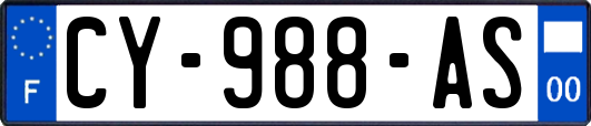 CY-988-AS