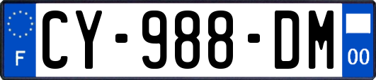 CY-988-DM