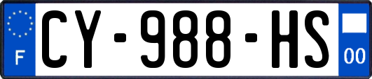 CY-988-HS