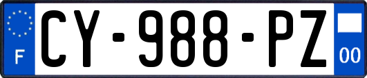 CY-988-PZ