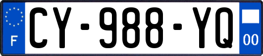 CY-988-YQ