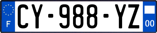 CY-988-YZ